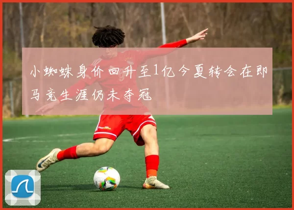 小蜘蛛身价回升至1亿今夏转会在即马竞生涯仍未夺冠