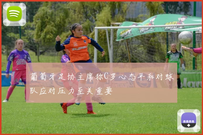 葡萄牙足协主席称C罗心态平和对球队应对压力至关重要